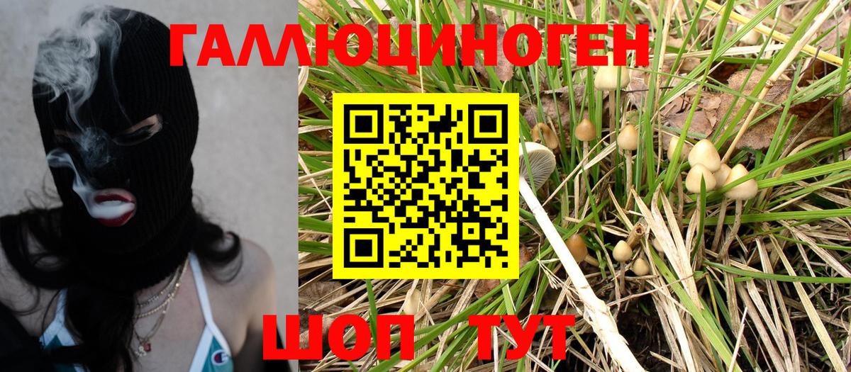 Псилоцибиновые грибы ЛСД Кохма